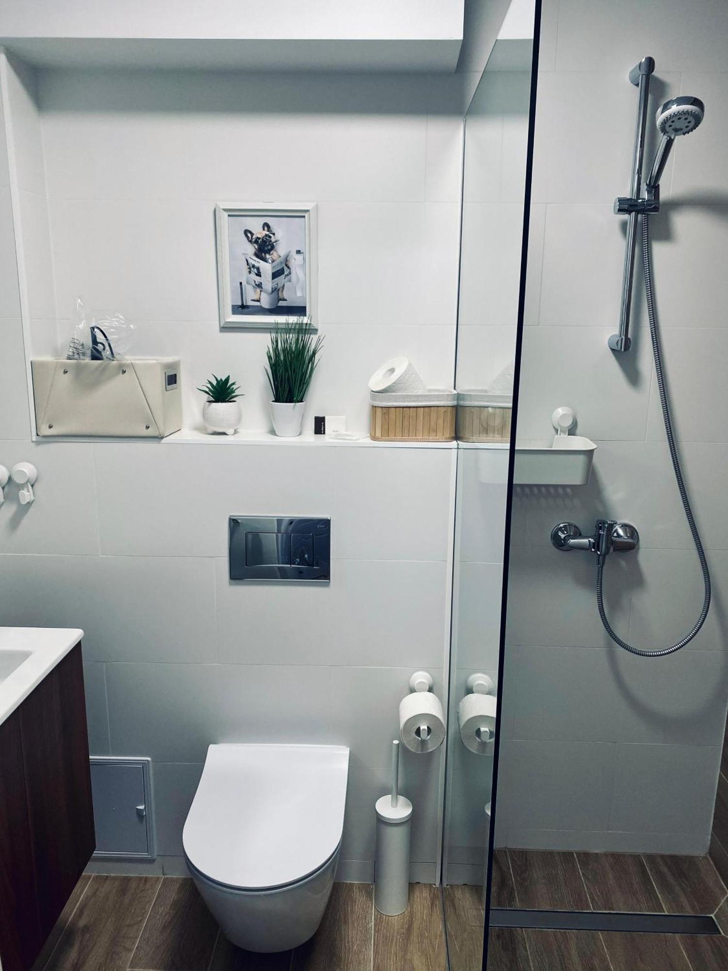 Central Luxury Apartment Ясси Екстер'єр фото